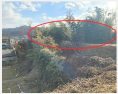  2024Ÿ��22490  �Ӿ߰��