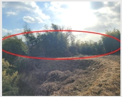  2024Ÿ��22490  �Ӿ߰��