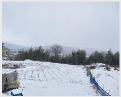  2024Ÿ��22490  �Ӿ߰��