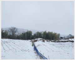  2024Ÿ��22490  �Ӿ߰��