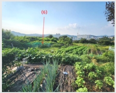  2024Ÿ834 泲 û籺 û õ 74      (1)