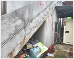  2024Ÿ834 泲 û籺 û õ 74      (1)