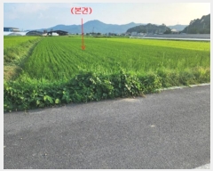  2024Ÿ��1059  ����