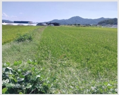  2024Ÿ��1059  ����