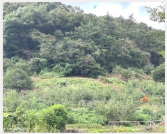  2024Ÿ1141 泲 ֽ  õ 363-4      (1)