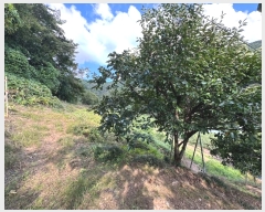  2024Ÿ1141 泲 ֽ  õ 363-4      (1)