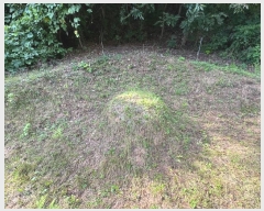  2024Ÿ1141 泲 ֽ  õ 363-4      (1)