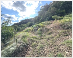  2024Ÿ1141 泲 ֽ  õ 363-4      (1)