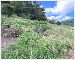  2024Ÿ1141 泲 ֽ  õ 363-4      (1)