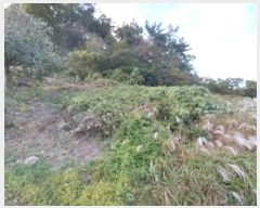  2024Ÿ1141 泲 ֽ  õ 363-4      (1)