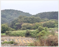  2024Ÿ��1233  �����