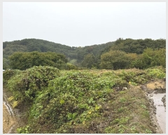  2024Ÿ��1233  �����