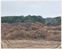  2024Ÿ��1233  �����