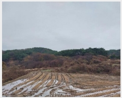  2024Ÿ��1233  �����