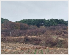  2024Ÿ��1233  �����