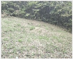  2024Ÿ��1257 �泲 ���ֽ� ���� ��긮 ��109-3      ��,�繫�ǰ��