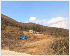  2024Ÿ1394 泲 ֽ   474-137      (1)