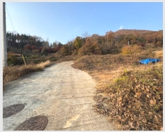  2024Ÿ1394 泲 ֽ   474-137      (1)