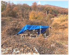  2024Ÿ1394 泲 ֽ   474-137      (1)