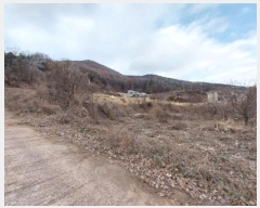  2024Ÿ1394 泲 ֽ   474-137      (1)