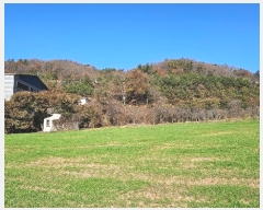  2024Ÿ��1448 �泲 ���ֽ� �켺�� ���븮 ��44-10      ����(�Ӿ�)���