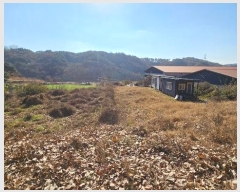  2024Ÿ��1448 �泲 ���ֽ� �켺�� ���븮 ��44-10      ����(�Ӿ�)���