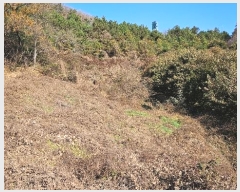  2024Ÿ��1448 �泲 ���ֽ� �켺�� ���븮 ��44-10      ����(�Ӿ�)���