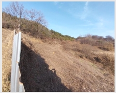  2024Ÿ��1448 �泲 ���ֽ� �켺�� ���븮 ��44-10      ����(�Ӿ�)���