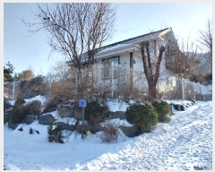  2024Ÿ��1486 �泲 ���ֽ� ������ ���ݸ� 471-22      ���ð��