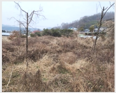  2024Ÿ20104 泲 ֽ  󼺸 83      ()