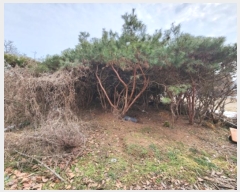  2024Ÿ20104 泲 ֽ  󼺸 83      ()