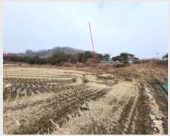  2024Ÿ20104 泲 ֽ  󼺸 83      ()