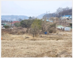  2024Ÿ20104 泲 ֽ  󼺸 83      ()