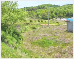  2024Ÿ20661 泲 ֽ θ ֺ 52      (1)