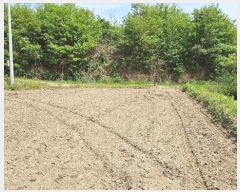  2024Ÿ20661 泲 ֽ θ ֺ 52      (1)