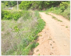  2024Ÿ20661 泲 ֽ θ ֺ 52      (1)