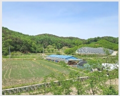  2024Ÿ20661 泲 ֽ θ ֺ 52      (1)