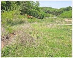  2024Ÿ20661 泲 ֽ θ ֺ 52      (1)