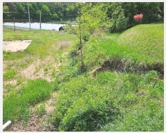  2024Ÿ20661 泲 ֽ θ ֺ 52      (1)