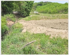  2024Ÿ20661 泲 ֽ θ ֺ 52      (1)