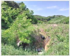  2024Ÿ20661 泲 ֽ θ ֺ 52      (1)