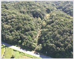  2024Ÿ20784 泲 ֽ Ǵ и 129      ()