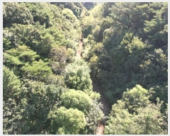  2024Ÿ20784 泲 ֽ Ǵ и 129      ()