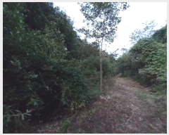  2024Ÿ20784 泲 ֽ Ǵ и 129      ()