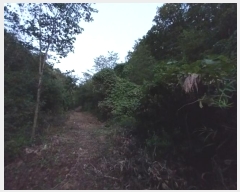  2024Ÿ20784 泲 ֽ Ǵ и 129      ()