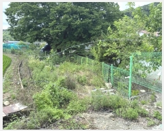  2024Ÿ21114 泲 ֽ ǳ  124-4      ()