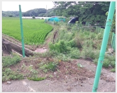  2024Ÿ21114 泲 ֽ ǳ  124-4      ()