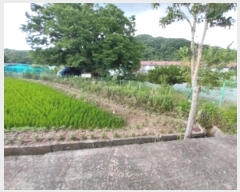  2024Ÿ21114 泲 ֽ ǳ  124-4      ()