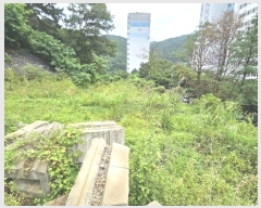  2024Ÿ21381 泲 ֽ 浿 160       ()