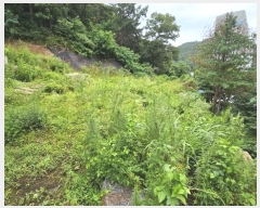  2024Ÿ21381 泲 ֽ 浿 160       ()